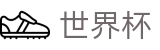 世界杯 · 世界杯如何买球规则 | 2026世界杯官方授权买球